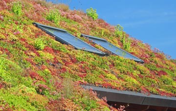 Gurney Slade living roof systems